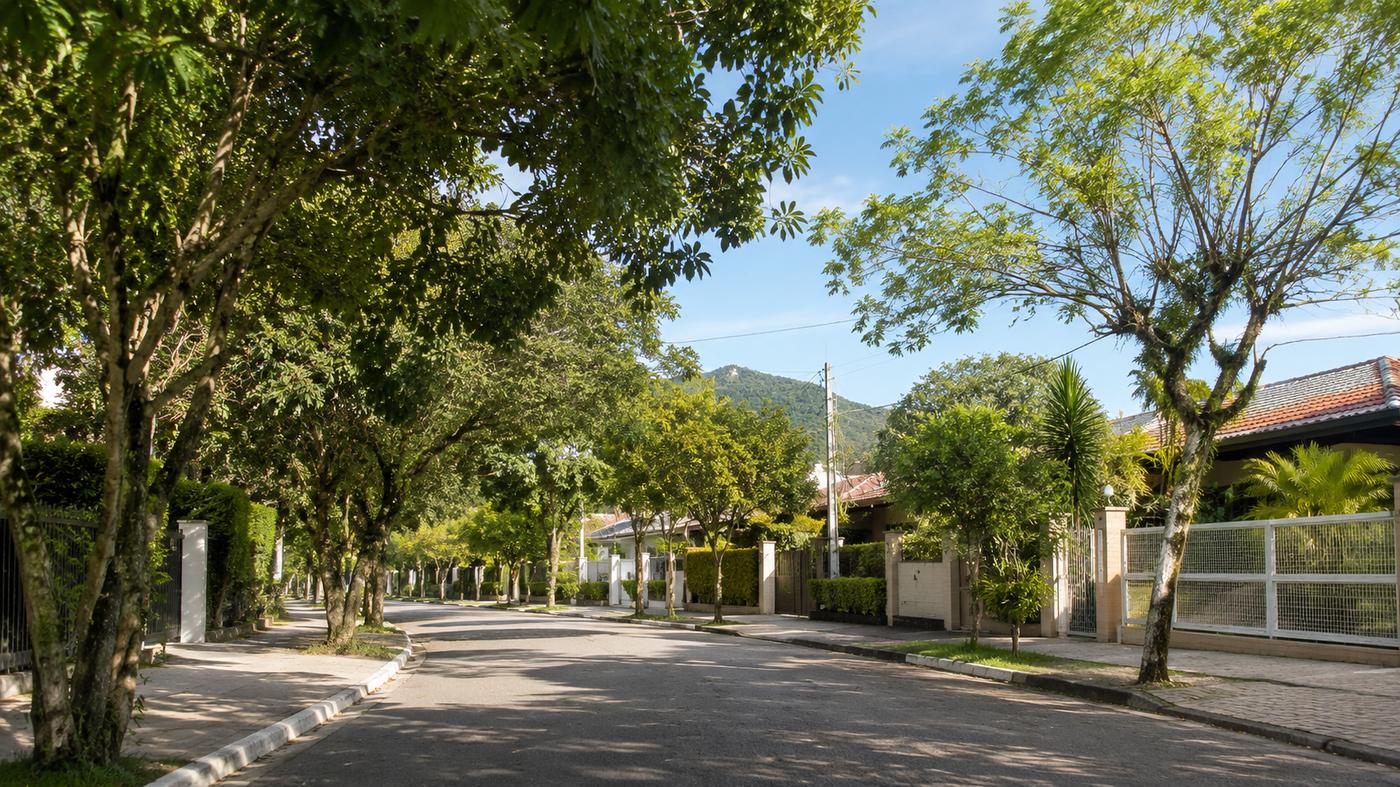 Rua arborizada do Parque São Jorge, ambiente ilustrativo